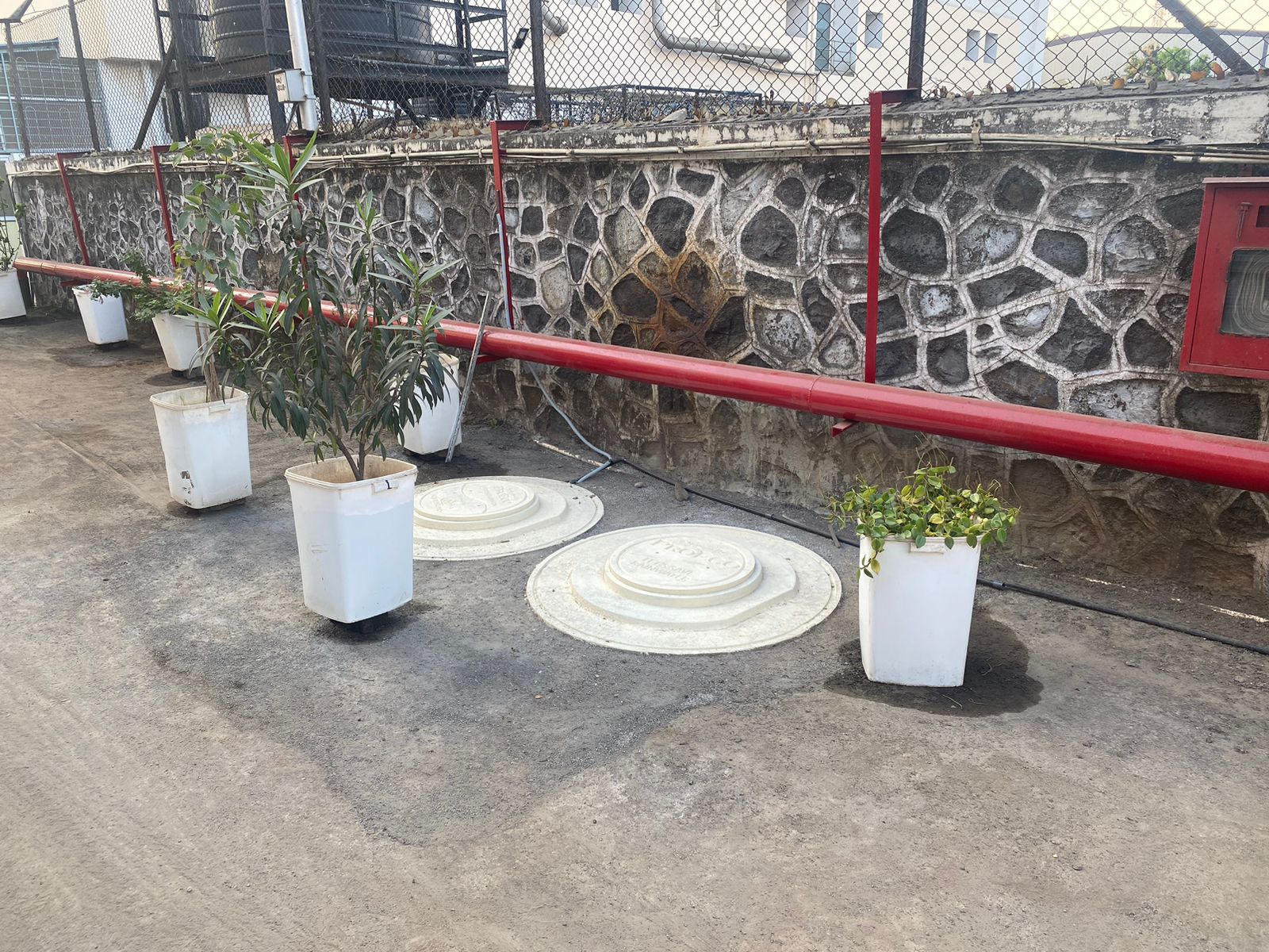 Rainwater Harvesting 5